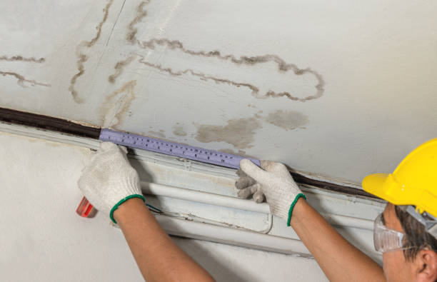 Reliable Water Extraction contractor in Somerset, NJ by Water Damage Irwin